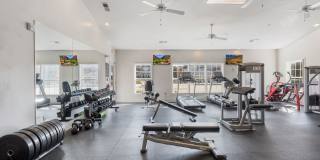 Stonegate Gallery 11