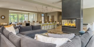 The Griff Luxury Apartments Gallery 8