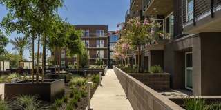 Silva Los Angeles Gallery 44