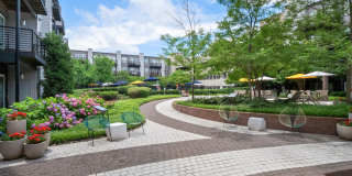 Cadence at Crown Apartments Gallery 20