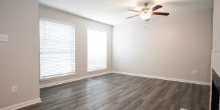 Serena Vista Gallery 28