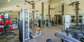 Northgate Oaks Gallery 41