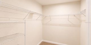 2618 PLEASANT CYPRESS CIRCLE Gallery 15