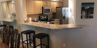 4161 Sawgrass Point Dr unit: 101 Gallery 10