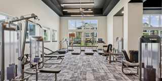 Virtuo Spring Gallery 13