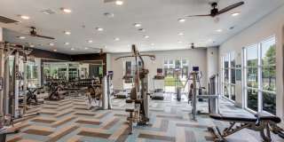 Williamson at the Overlook Gallery 11