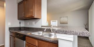 Available now, in Dublin City Schools! Gallery 29