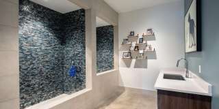 The Ascent at Top of the Hill Gallery 11