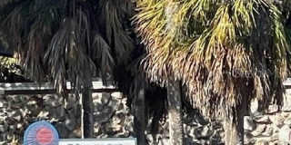 100 THE ESPLANADE N Gallery 27