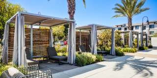 The Strand Gallery 21