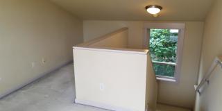 362 Aloha St. Gallery 14