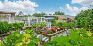 South Front Apartments Gallery 5