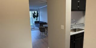 2009 Greene Street 203 Gallery 4