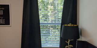 Room in 3 Bedroom Home at North Mills Rd Gallery 29