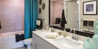 Palmetto Promenade Gallery 18