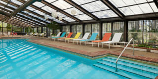 Regents Park Gallery 10