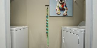 Hollow Tree Park Gallery 21