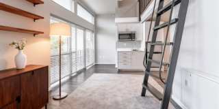 Novo Novo Gallery 12