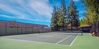 Valley Plaza Villages Gallery 14