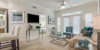 Las Palmas Gallery 43