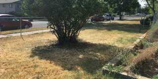 3 Bedroom 1 Bathroom Duplex Gallery 9