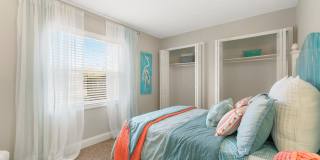 Sea Oats Sea Oats Gallery 72