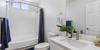 Vista Waterleaf Apartments Gallery 15