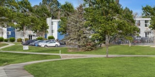 Canopy Creek Apartments Gallery 14