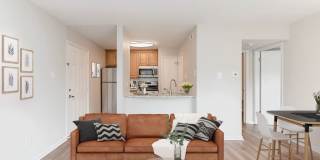 Hampton Point Gallery 6