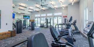 Mira at Palmer Ranch - 55+ Senior Living Community Gallery 68
