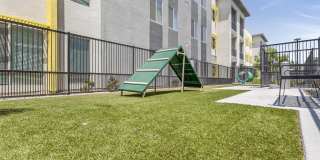 Ely at Fort Apache Gallery 33