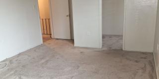 7705 Swan Terrace Gallery 11