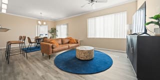 Bella Mirage Gallery 5