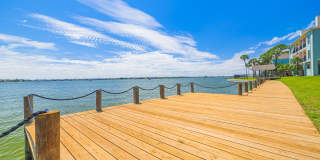 Pirates Landing Gallery 47