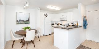 Bel Aire Terrace Gallery 1