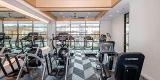 Chisholm at Tavolo Park Gallery 18