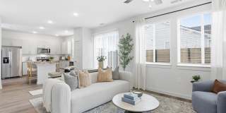 YardHomes Spring West Gallery 13