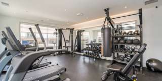 The Warrick Gallery 36