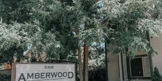 Amberwood Apartments Gallery 1