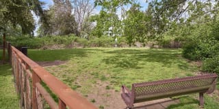 Forest Hill Village Gallery 29