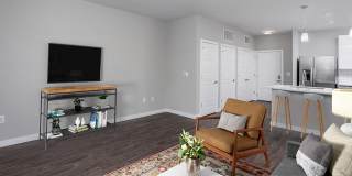 Holly Springs Gallery 7