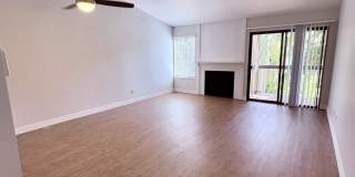Edgewater Gallery 26