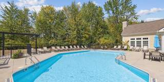 Woods at Perry Lane Gallery 1