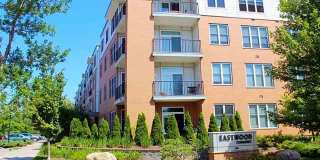 410 Farrel St Unit 309 Gallery 1