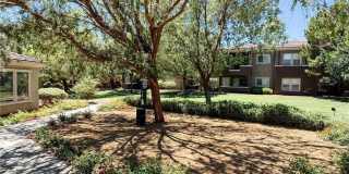 10809 Garden Mist Drive Gallery 25