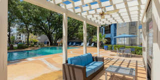 The Iris The Iris Gallery 19