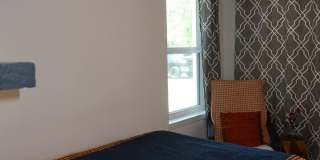 Hyde Park Country Condo - Furnished - 1BD/1BA - Covered Parking -Close to Everything Gallery 19
