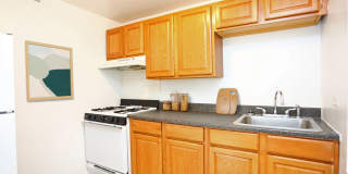 Central Park Gallery 3