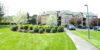 Springwater Trail Gallery 2