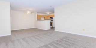Portside Apartments Portside Apartments Gallery 28